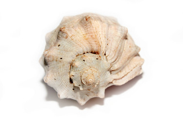 Similar image 1157673