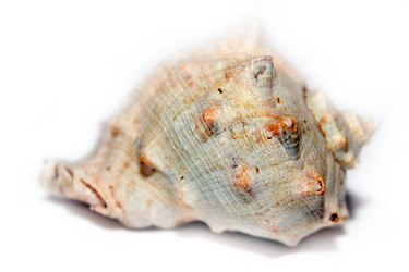 Similar image 1157675