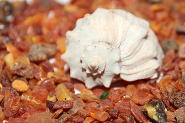 Similar image 1157676