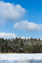 Similar image 1157685