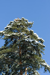 Similar image 1157688