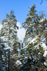 Similar image 1157689