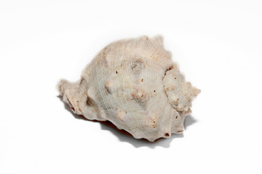 Similar image 1157701