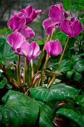 Similar image 1157704