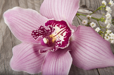 Similar image 1157745