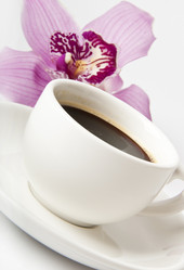 Similar image 1157750