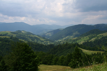 Similar image 1157782