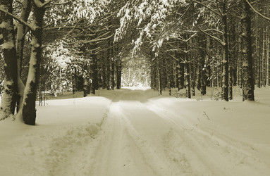 Similar image 1157804