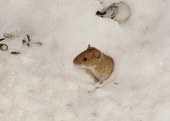 Similar image 1157821