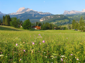 Similar image 1157840