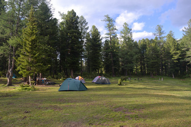 Similar image 1157866