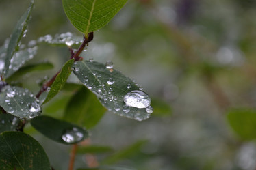 Similar image 1157873