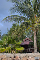 Similar image 1157879