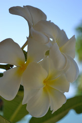 Similar image 1157880