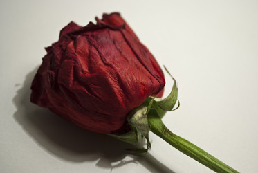 Similar image 1157901