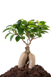 Similar image 1157913