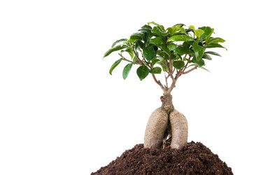 Similar image 1157918