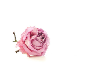 Similar image 1157924