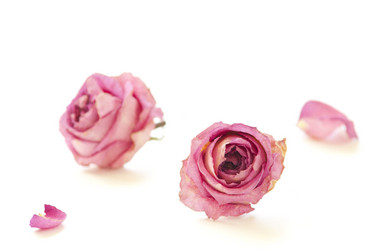 Similar image 1157927