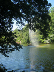 Similar image 1157948