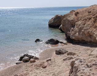 Similar image 1157963