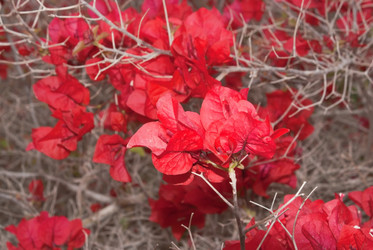 Similar image 1157967