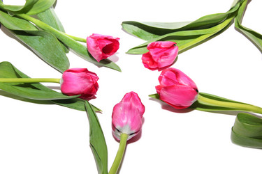 Similar image 1157978