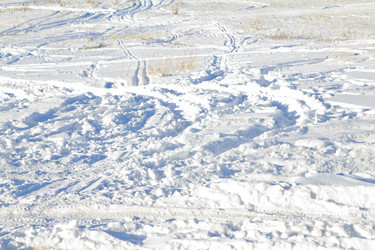 Similar image 1157981