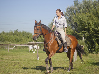 Similar image 1158006