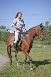 Similar image 1158010