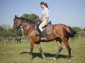 Similar image 1158013