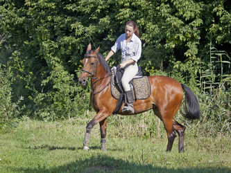 Similar image 1158017