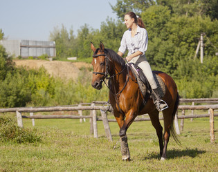 Similar image 1158020