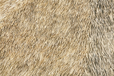 Similar image 1158369