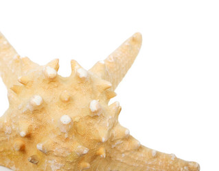 Similar image 1158431