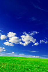 Similar image 1158619