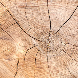 Similar image 1158620