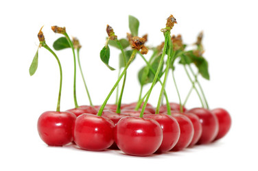 Similar image 1158621