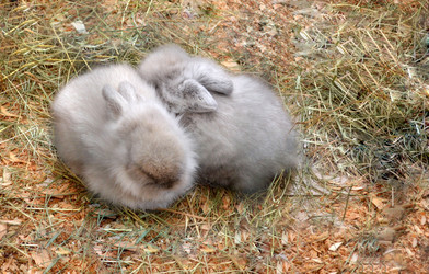 Similar image 1158644