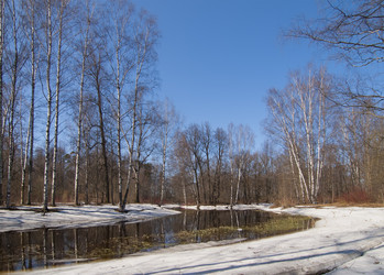 Similar image 1158681