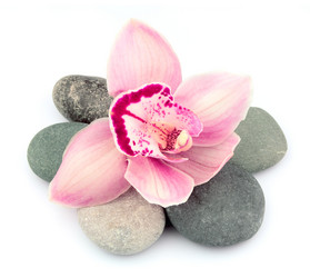 Similar image 1158699