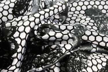 Similar image 1158726