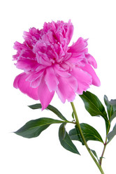 Similar image 1158746