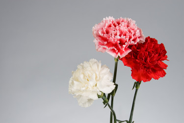 Similar image 1158748