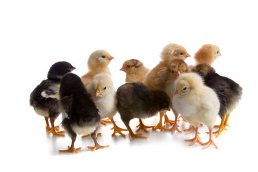 Similar image 1158773