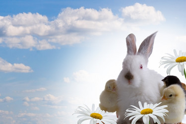 Similar image 1158786