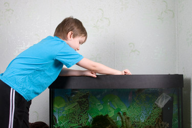 Similar image 1158787