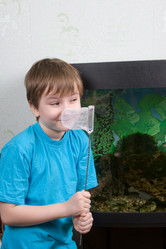 Similar image 1158795