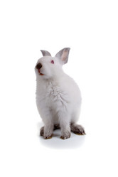 Similar image 1158805