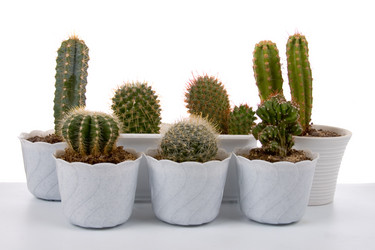 Similar image 1158808